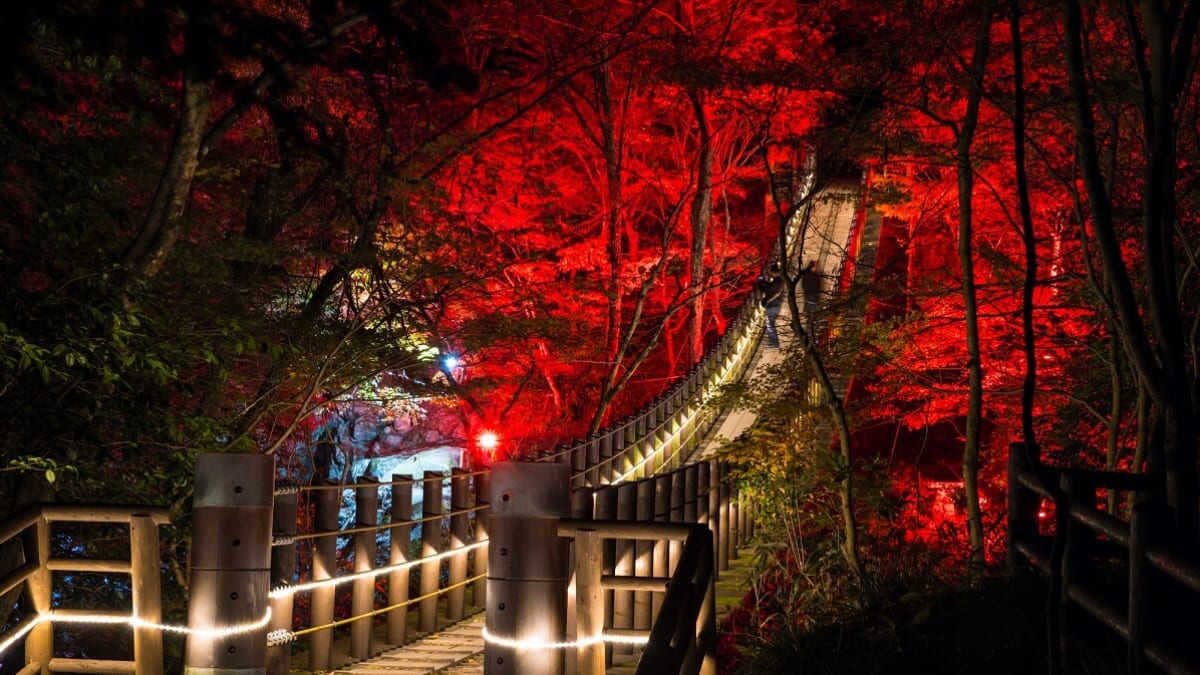 8 Γραφικά και γεμάτα φύση τουριστικά σημεία για να απολαύσετε στο Ibaraki κατά τη διάρκεια του χειμώνα