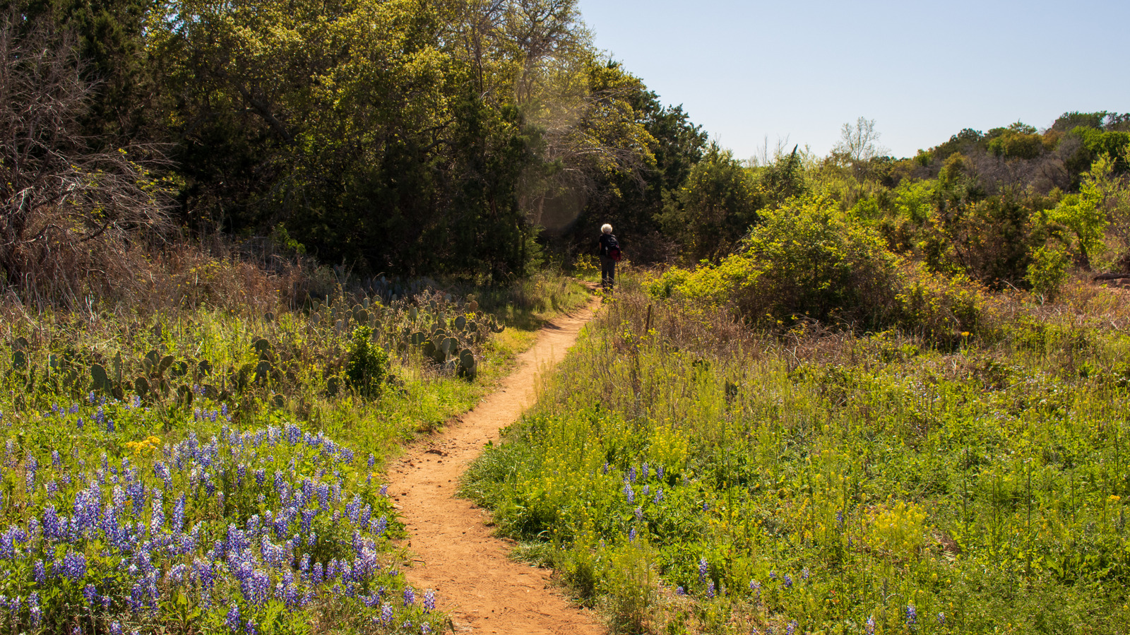 Το νεότερο State Park του Τέξας ανοίγει το 2026 και είναι γεμάτο μονοπάτια αναψυχής